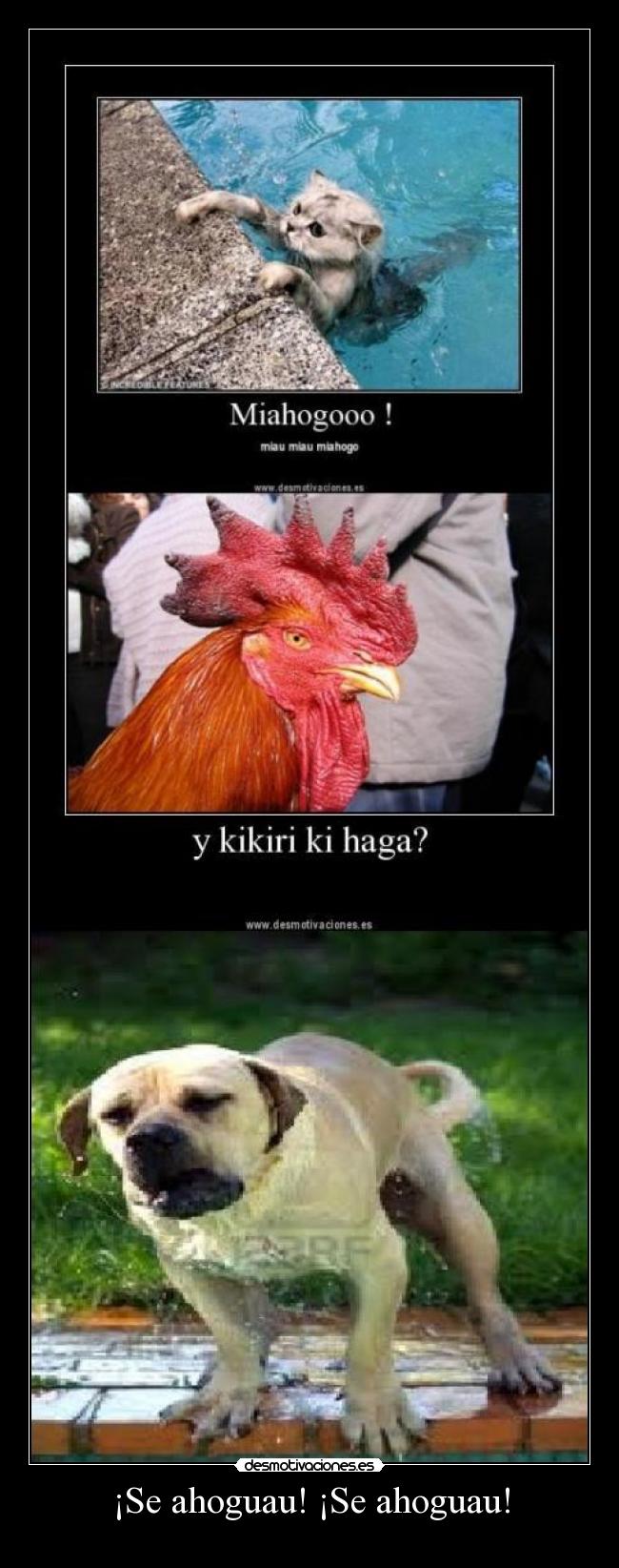 ¡Se ahoguau! ¡Se ahoguau! -