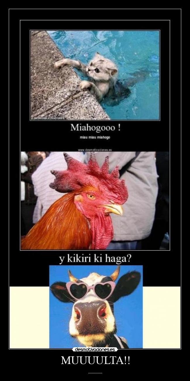 carteles desmotivaciones