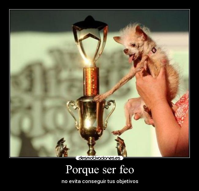 Porque ser feo - no evita conseguir tus objetivos