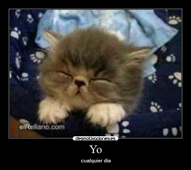 Yo - cualquier día