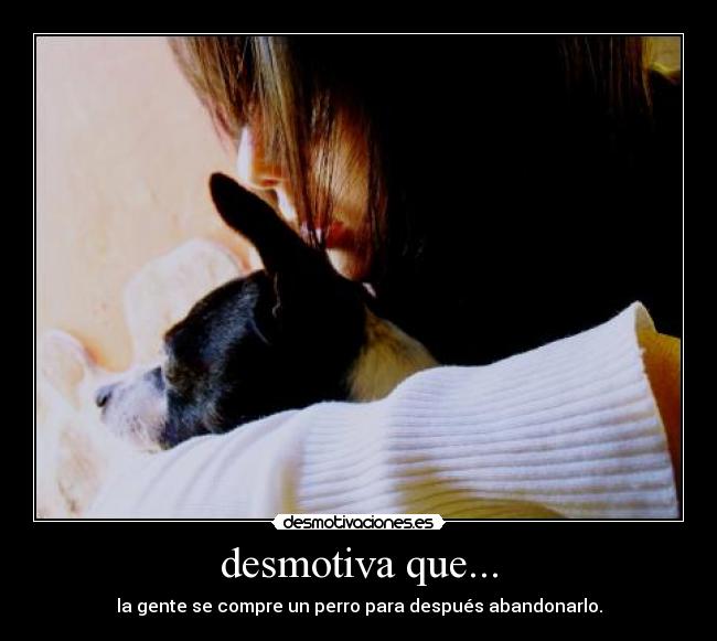 desmotiva que... - la gente se compre un perro para después abandonarlo.