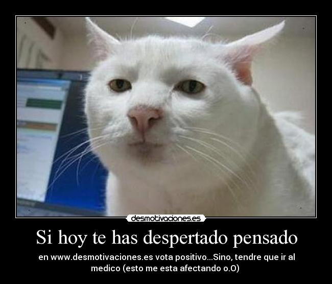 Si hoy te has despertado pensado - 