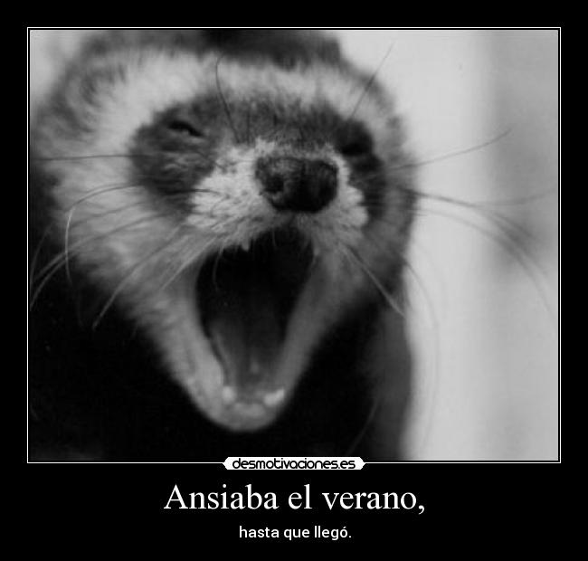carteles verano ansiaba verano desmotivaciones