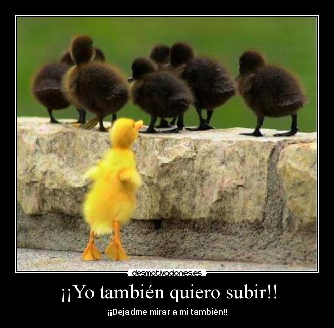 carteles patitos tambien subir mirar desmotivaciones