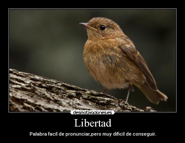 Libertad - Palabra facíl de pronunciar,pero muy díficil de conseguir.