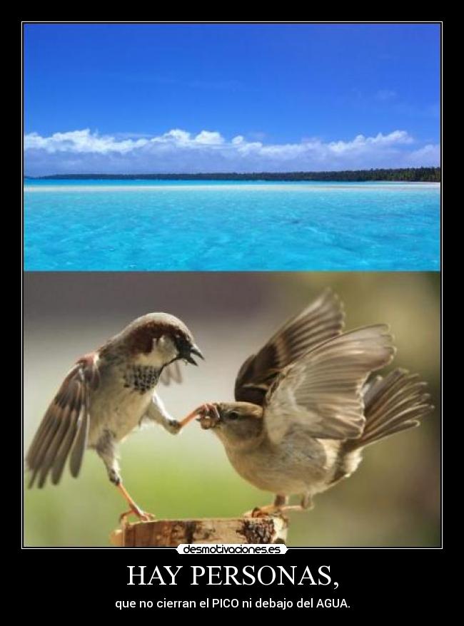 HAY PERSONAS, - que no cierran el PICO ni debajo del AGUA.