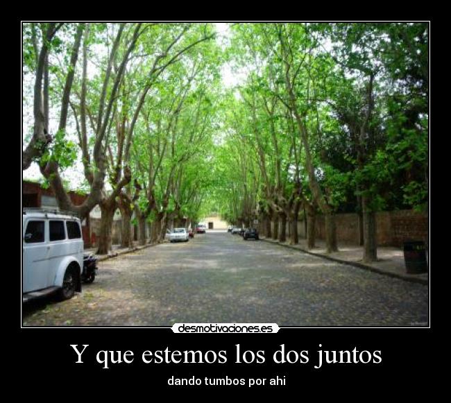 carteles calle desmotivaciones