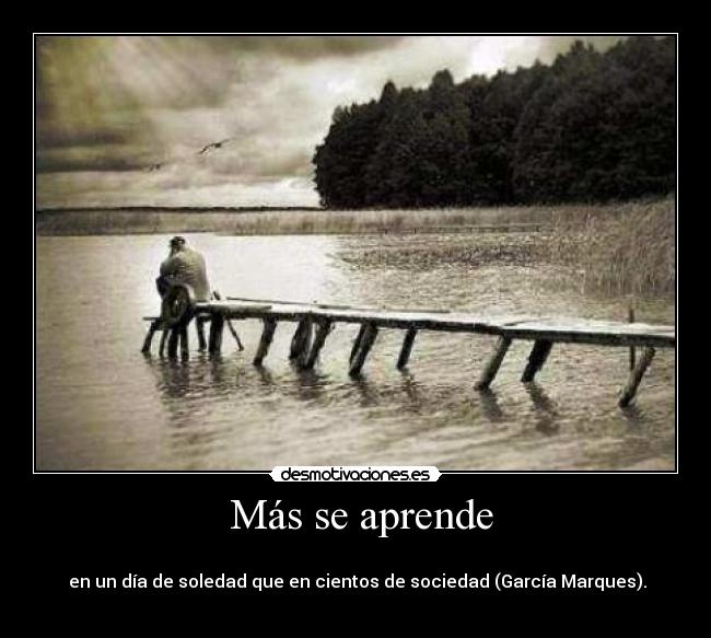 Más se aprende -
en un día de soledad que en cientos de sociedad (García Marques).