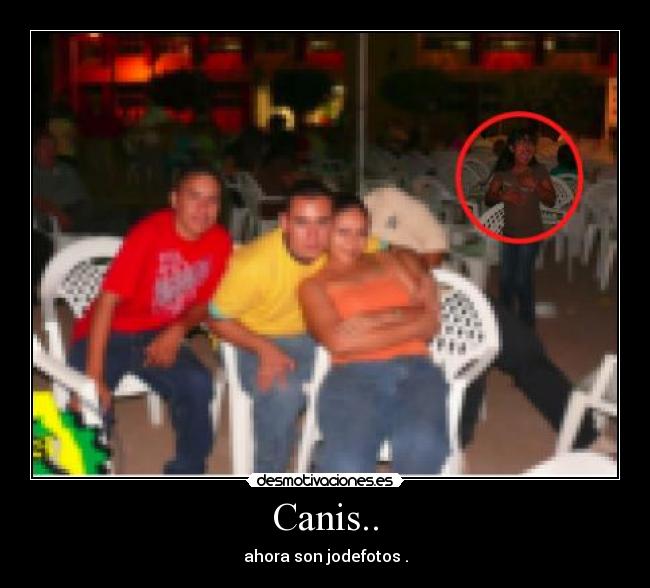 Canis.. - ahora son jodefotos .
