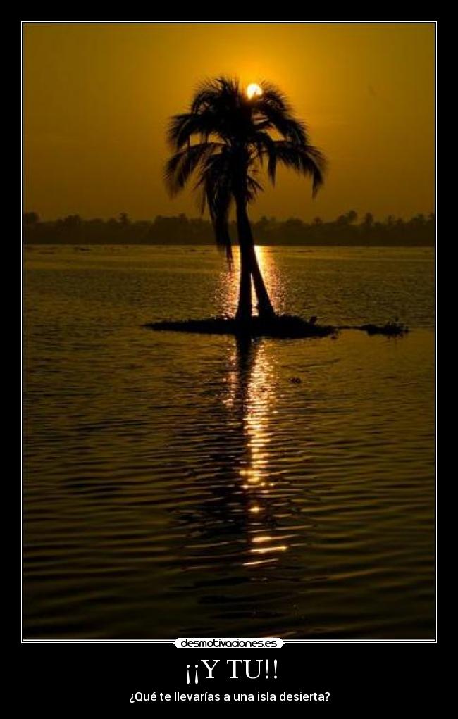 ¡¡Y TU!! -