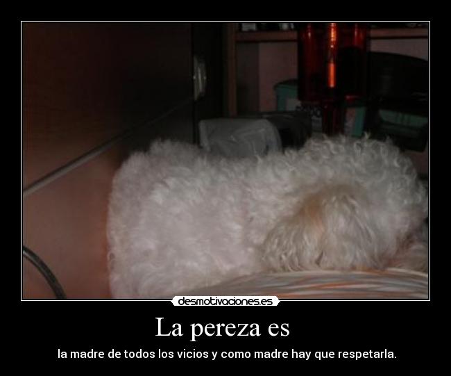 La pereza es - la madre de todos los vicios y como madre hay que respetarla.