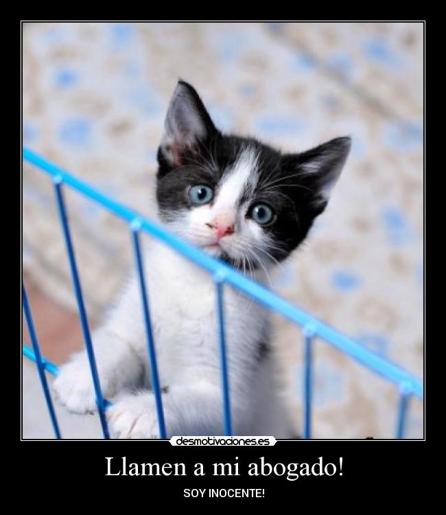 Llamen a mi abogado! -