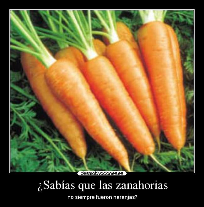 carteles zanahorias naranjas siempre sabias desmotivaciones