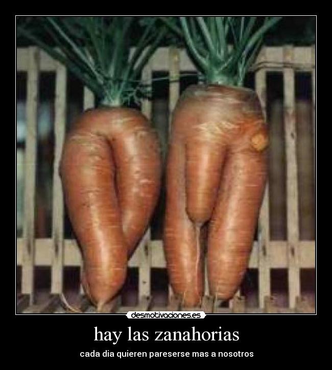 hay las zanahorias -