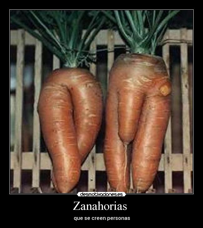 Zanahorias -