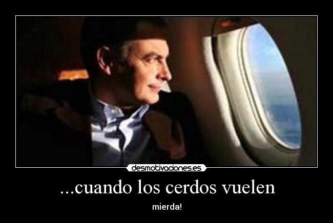 ...cuando los cerdos vuelen -