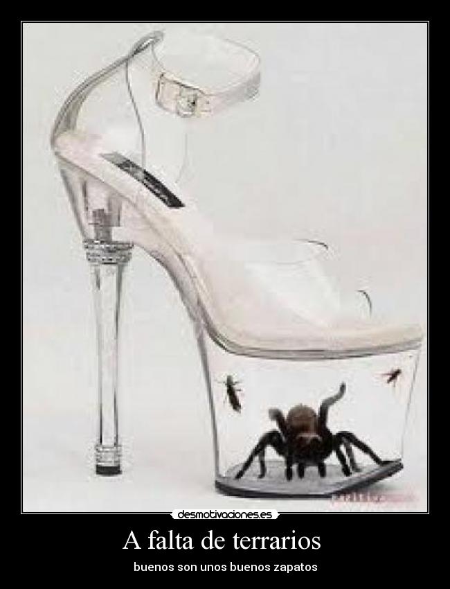 A falta de terrarios - buenos son unos buenos zapatos