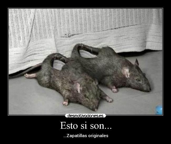 Esto si son... -