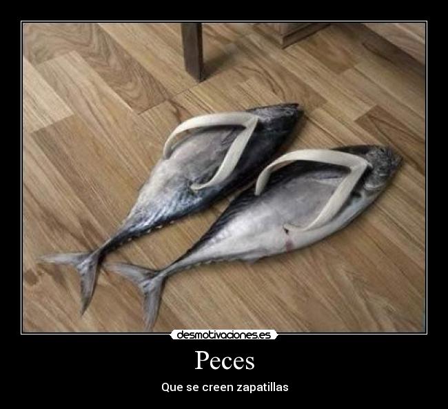 Peces - Que se creen zapatillas