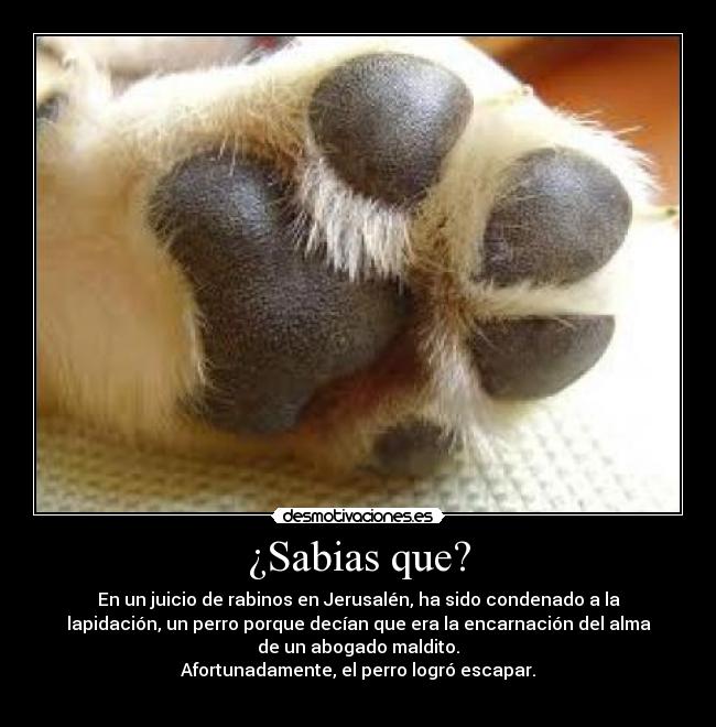 carteles lapidacion desmotivaciones