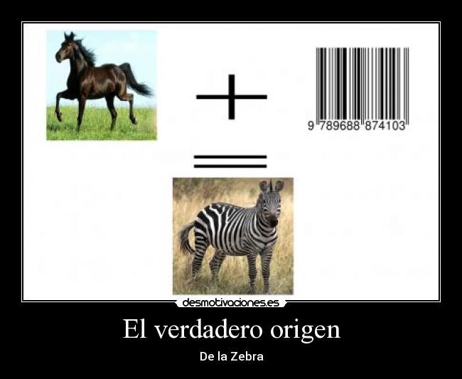 El verdadero origen - 
