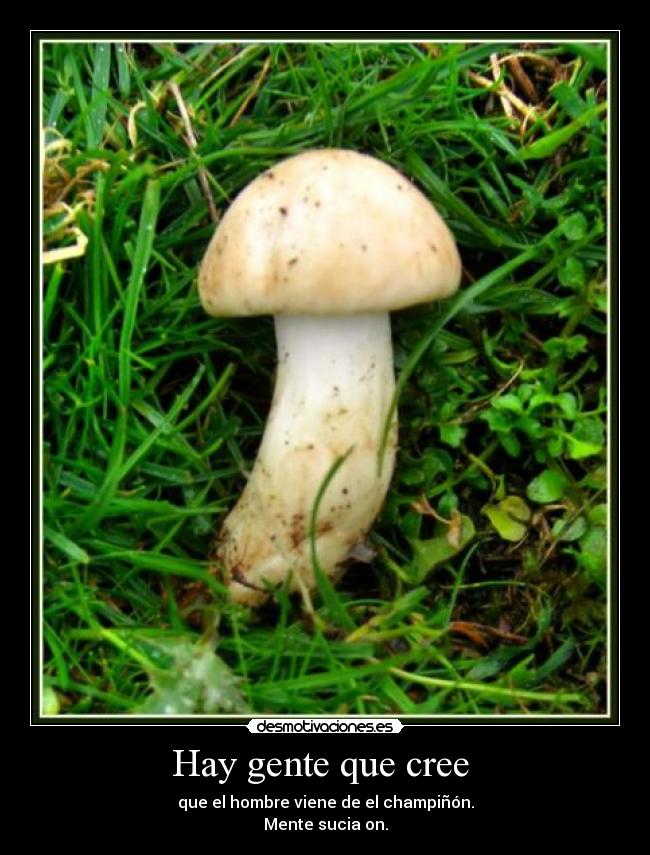 Hay gente que cree  - que el hombre viene de el champiñón.
Mente sucia on.