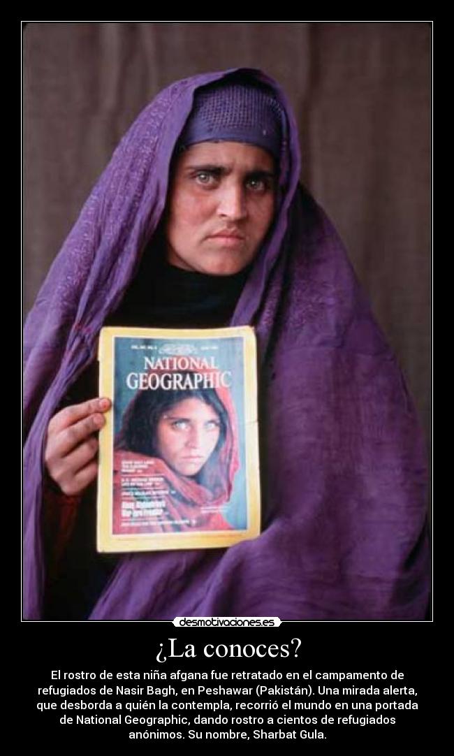 ¿La conoces? - El rostro de esta niña afgana fue retratado en el campamento de
refugiados de Nasir Bagh, en Peshawar (Pakistán). Una mirada alerta,
que desborda a quién la contempla, recorrió el mundo en una portada
de National Geographic, dando rostro a cientos de refugiados
anónimos. Su nombre, Sharbat Gula.