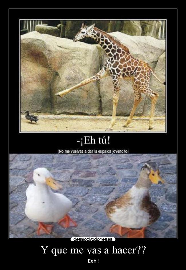 Y que me vas a hacer?? - 