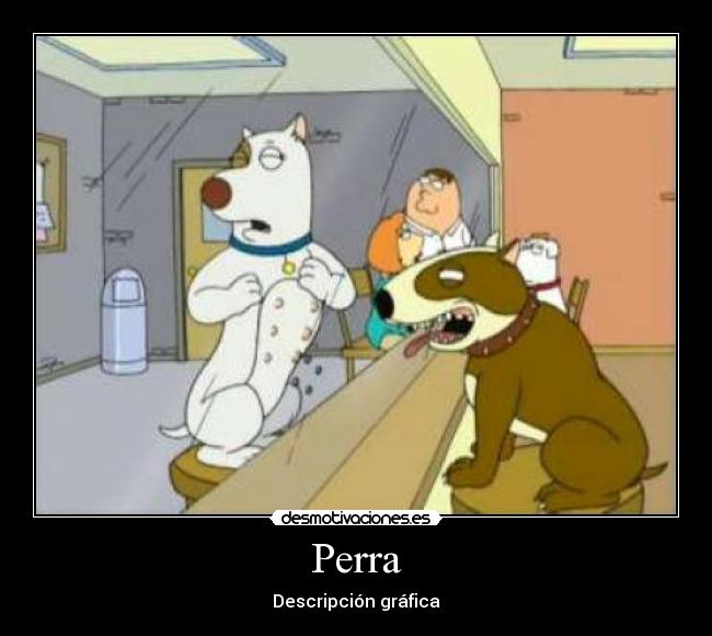 Perra - Descripción gráfica