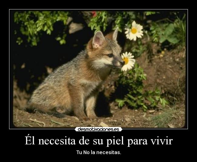 Él necesita de su piel para vivir - Tu No la necesitas.