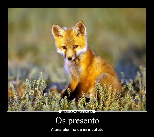 Os presento -