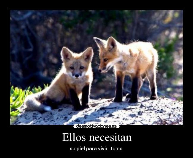 Ellos necesitan - 