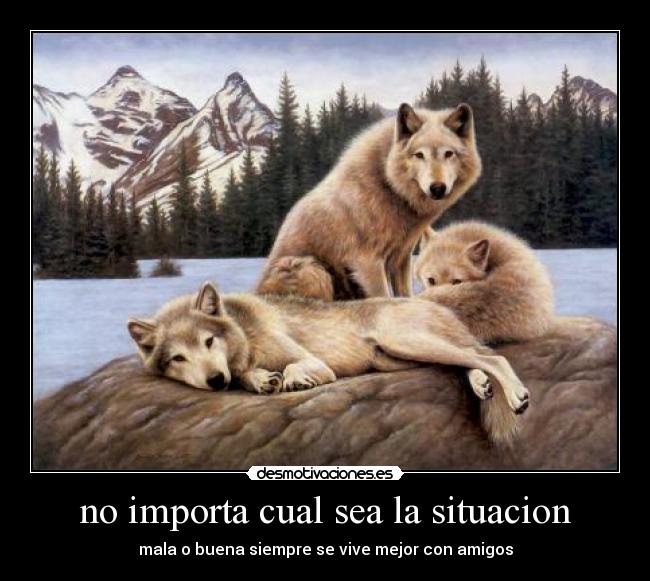 no importa cual sea la situacion - 