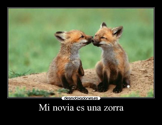 Mi novia es una zorra - 