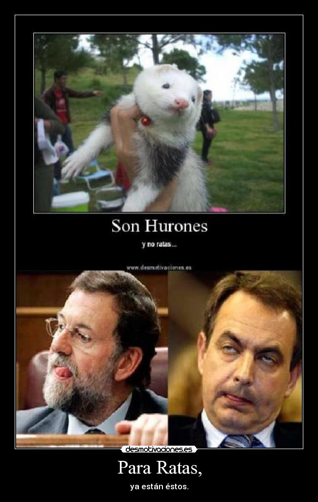 carteles para ratas desmotivaciones