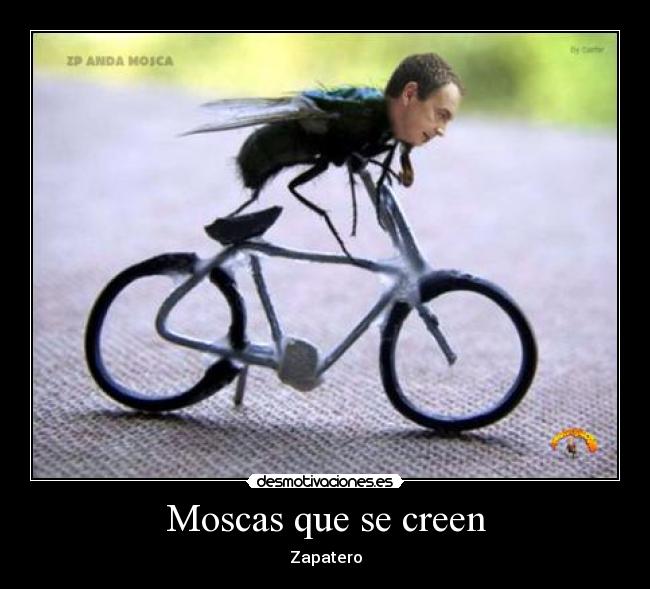 Moscas que se creen -