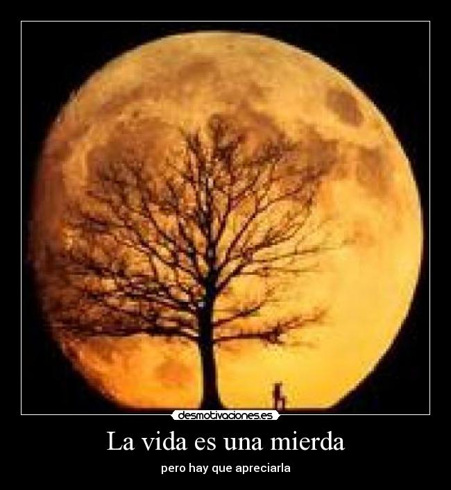 carteles vida mariinar desmotivaciones