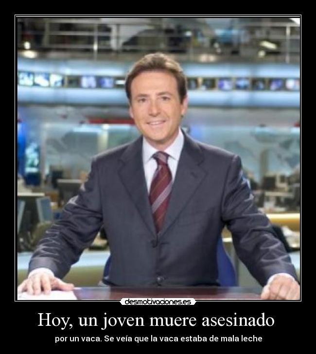 Hoy, un joven muere asesinado  - por un vaca. Se veía que la vaca estaba de mala leche