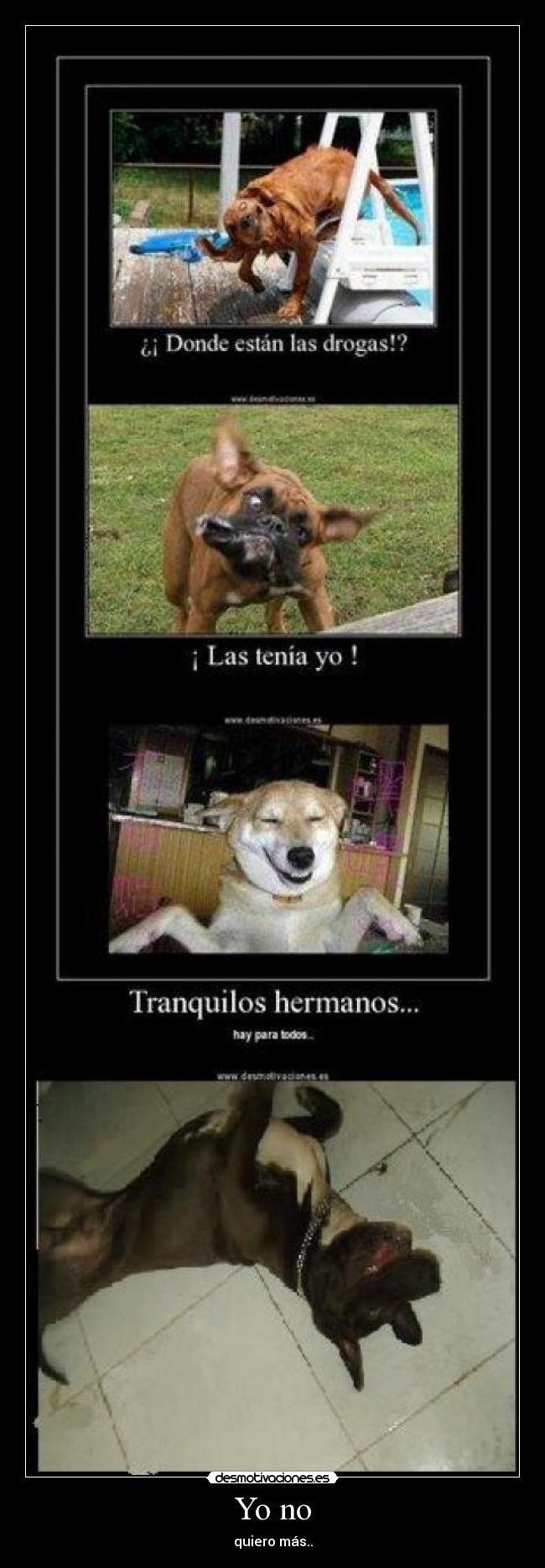 Yo no - quiero más..