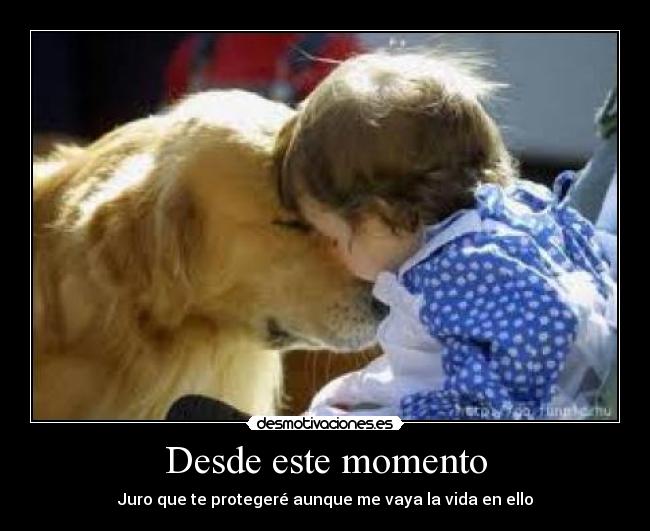 carteles fray desmotivaciones