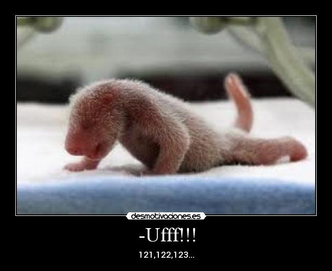 -Ufff!!! - 