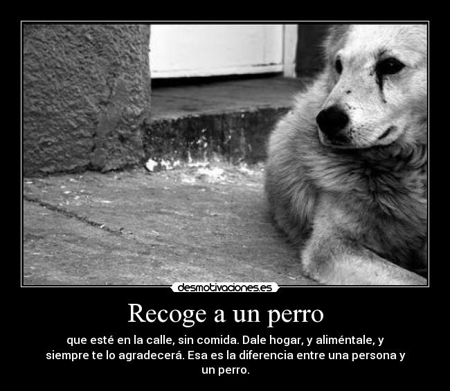 Recoge a un perro - que esté en la calle, sin comida. Dale hogar, y aliméntale, y
siempre te lo agradecerá. Esa es la diferencia entre una persona y
un perro.