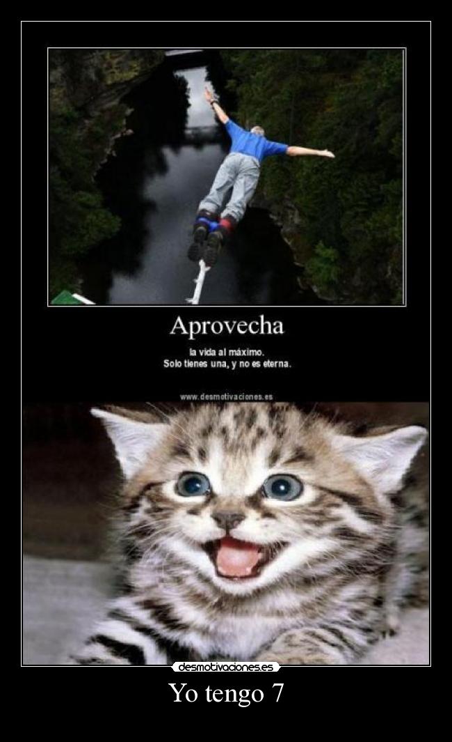Yo tengo 7 - 