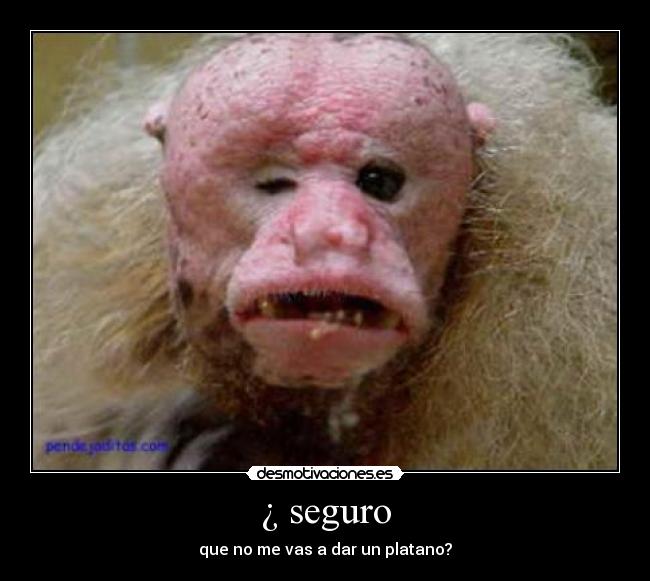 ¿ seguro - que no me vas a dar un platano?