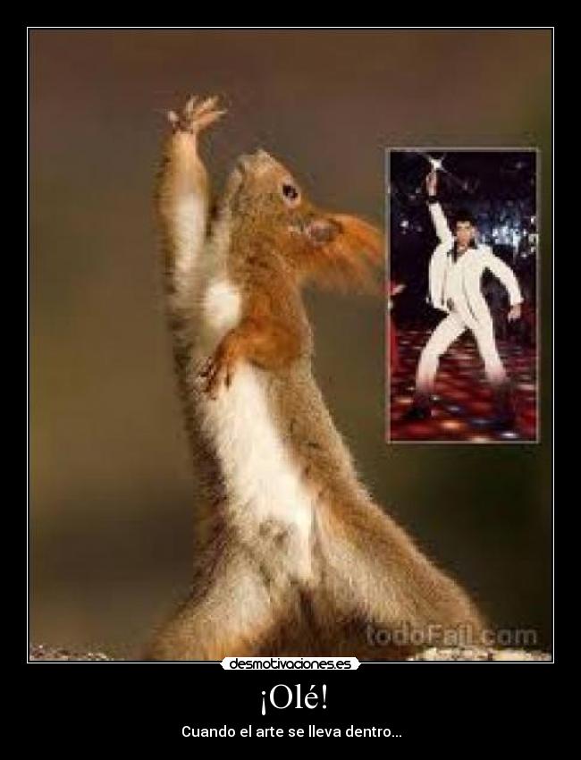 ¡Olé! -
