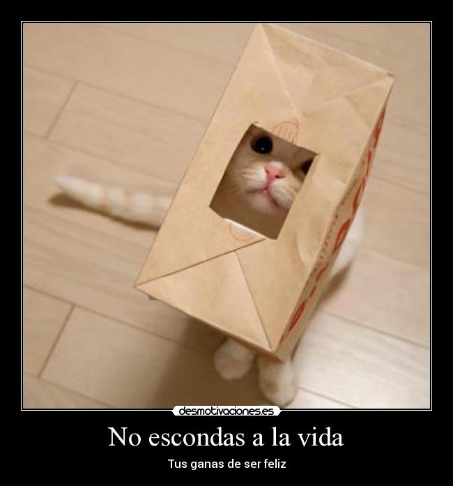 No escondas a la vida - Tus ganas de ser feliz