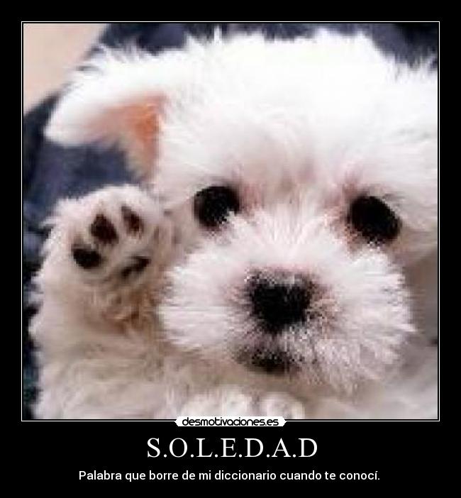 S.O.L.E.D.A.D -