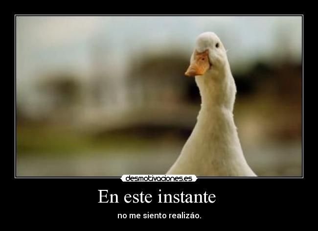 En este instante  - no me siento realizáo.