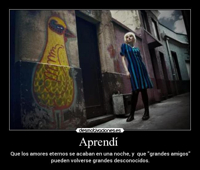 Aprendí - Que los amores eternos se acaban en una noche, y que grandes amigos
pueden volverse grandes desconocidos.
