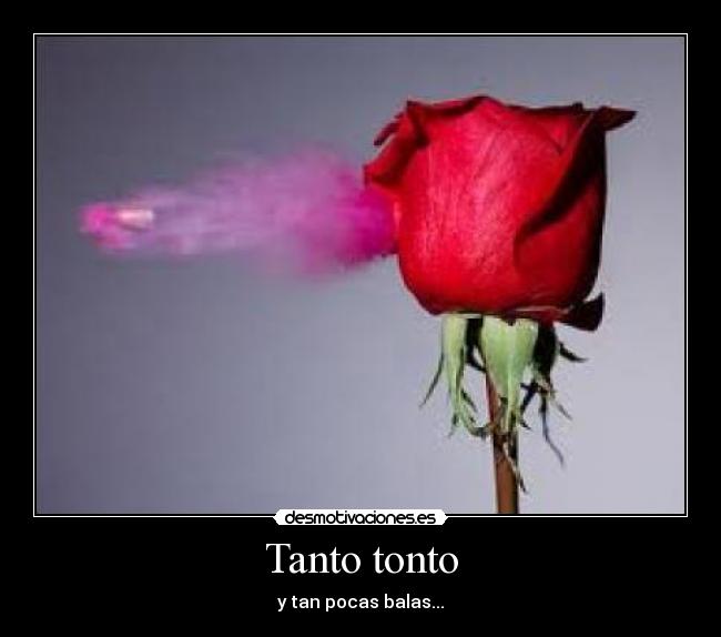 carteles tonto tonto balas duo kie nerviozzo locus desmotivaciones